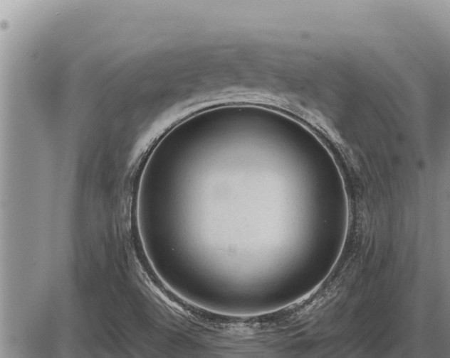 X0000087421504200704271724