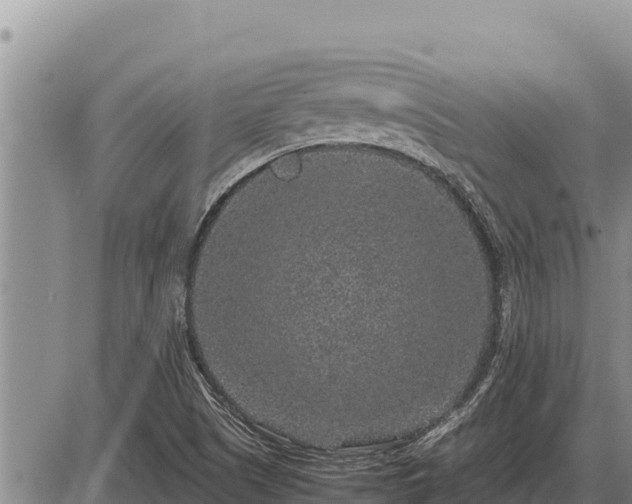 X0000087421505200704271724