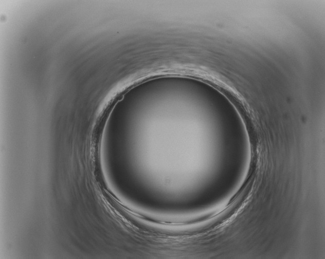 X0000087421506200704271724