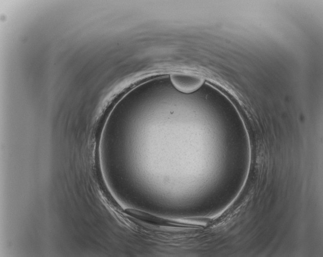 X0000087421507200704271724