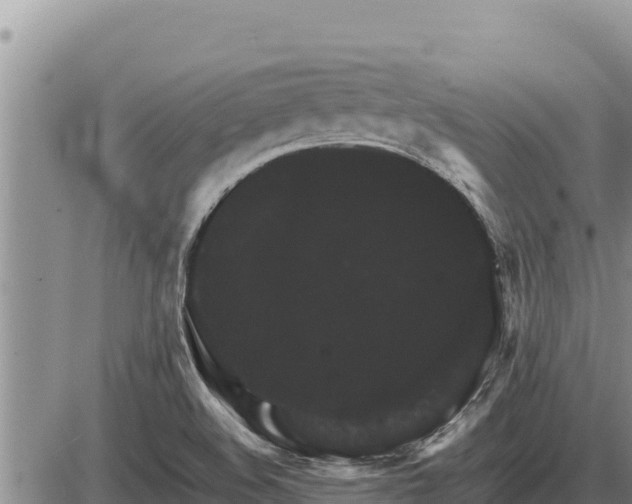 X0000087421508200704271724