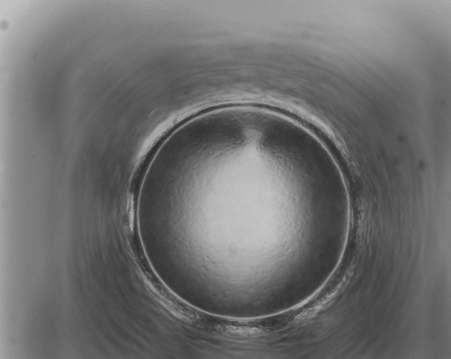 X0000087421509200704271724