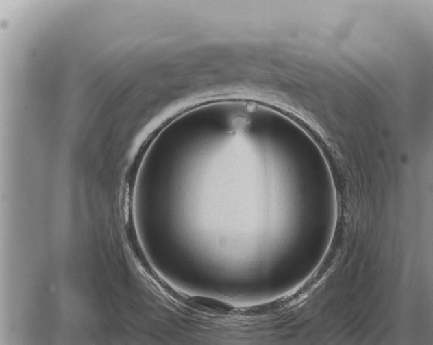 X0000087421510200704271724