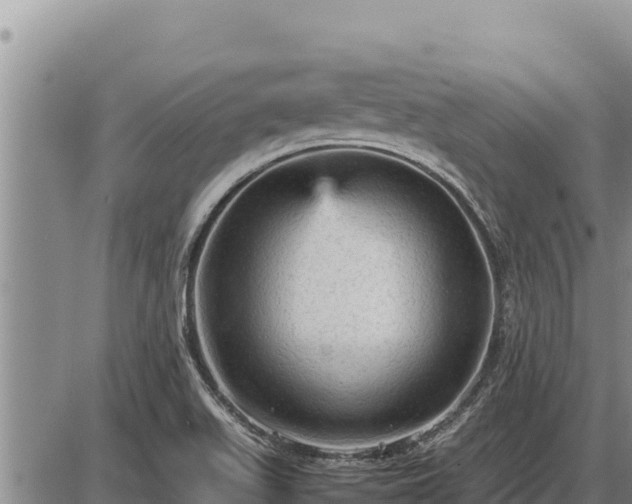 X0000087421511200704271724