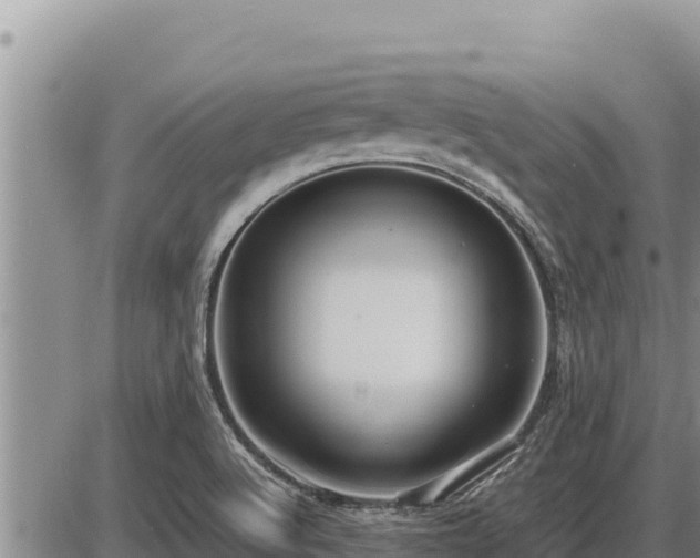 X0000087421512200704271724