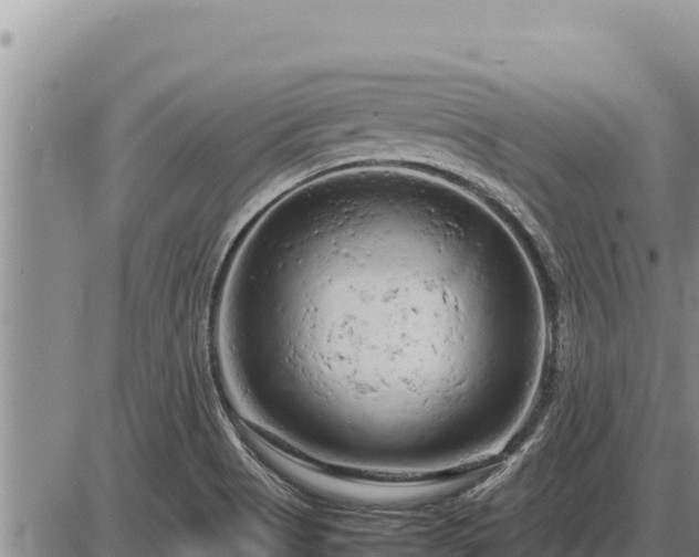 X0000087421513200704271724