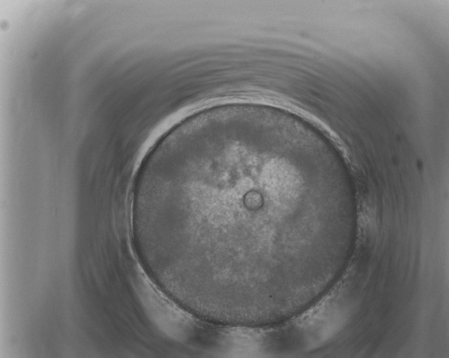 X0000087421514200704271724