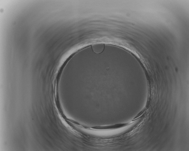 X0000087421515200704271724