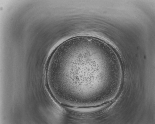 X0000087421517200704271724