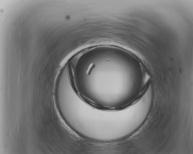 X0000087421518200704271724