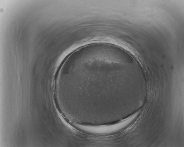 X0000087421519200704271724