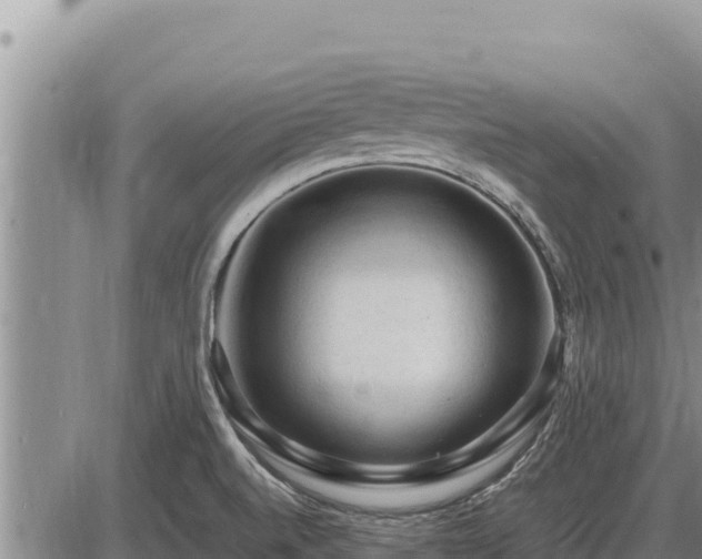 X0000087421520200704271724