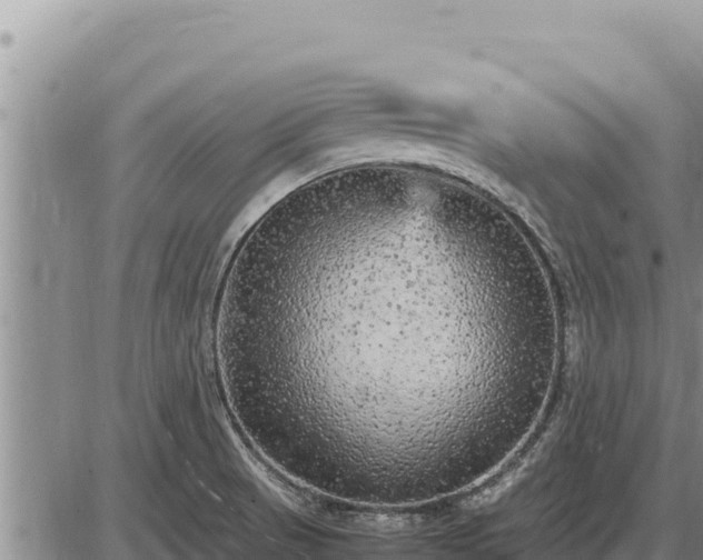 X0000087421521200704271724