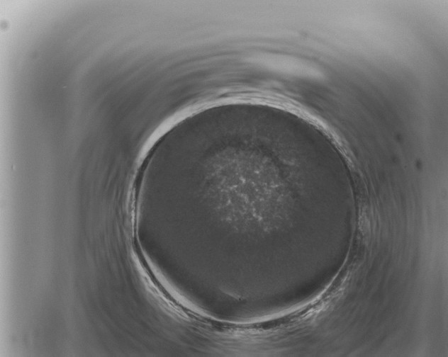 X0000087421522200704271724