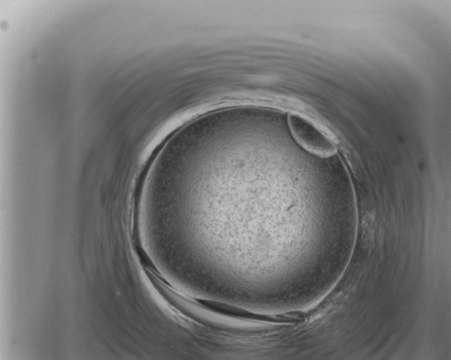 X0000087421523200704271724