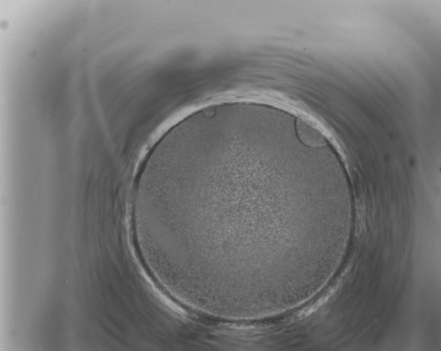 X0000087421525200704271724