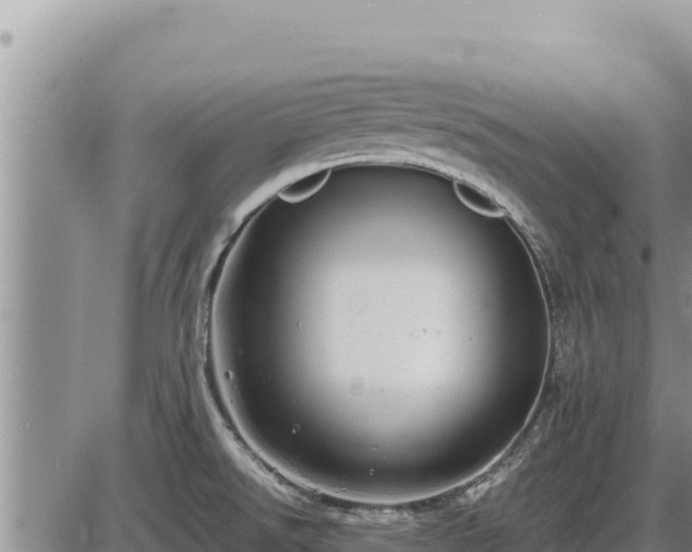 X0000087421526200704271724