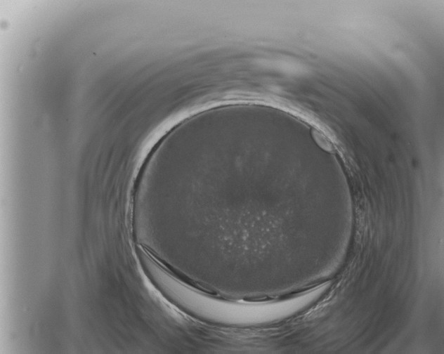 X0000087421527200704271724