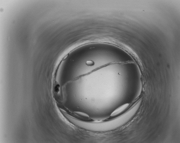 X0000087421528200704271724