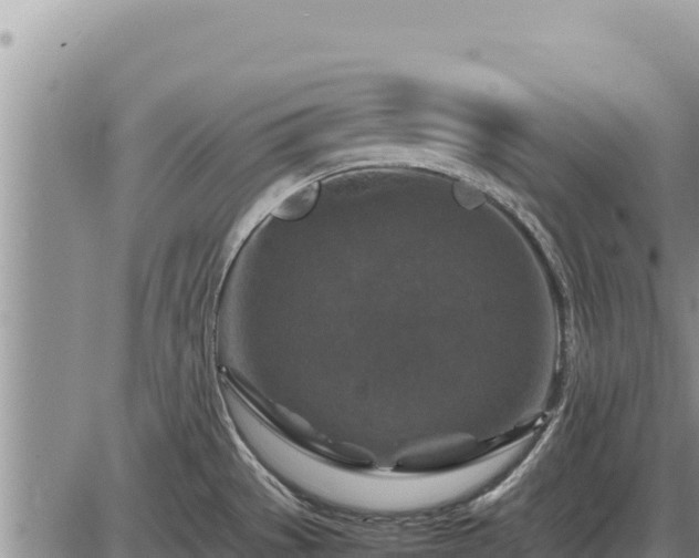 X0000087421529200704271724