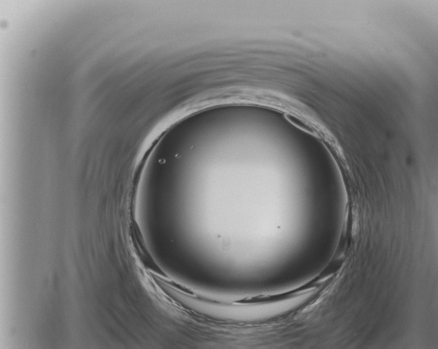 X0000087421530200704271724