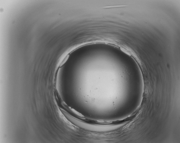 X0000087421532200704271724