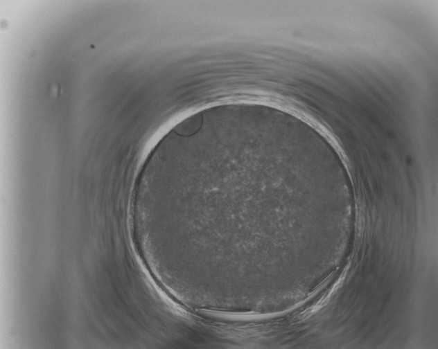 X0000087421533200704271724