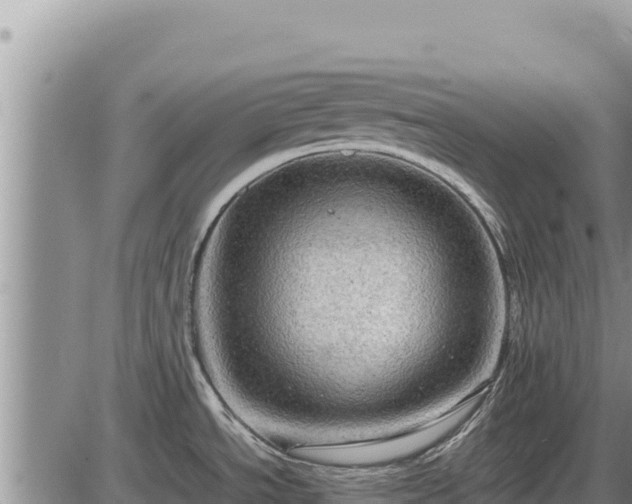 X0000087421534200704271724