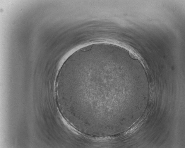 X0000087421535200704271724