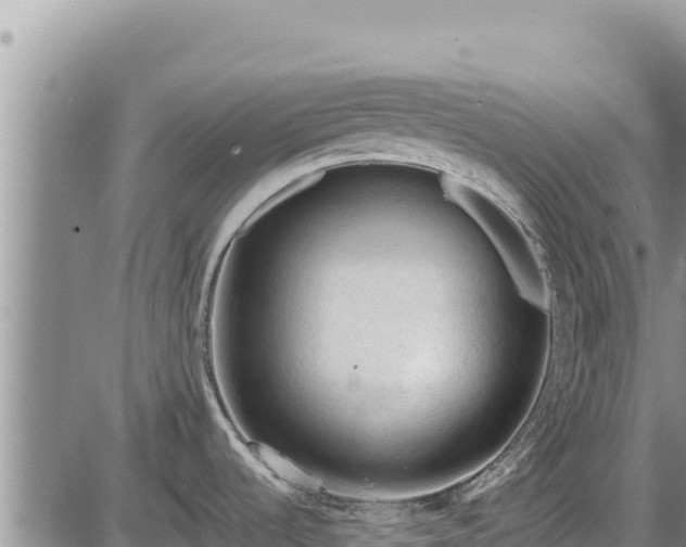 X0000087421536200704271724