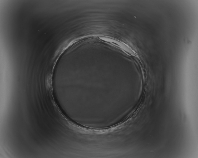 X0000087420002200705041317