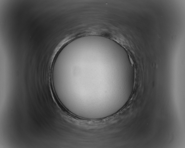 X0000087420003200705041317