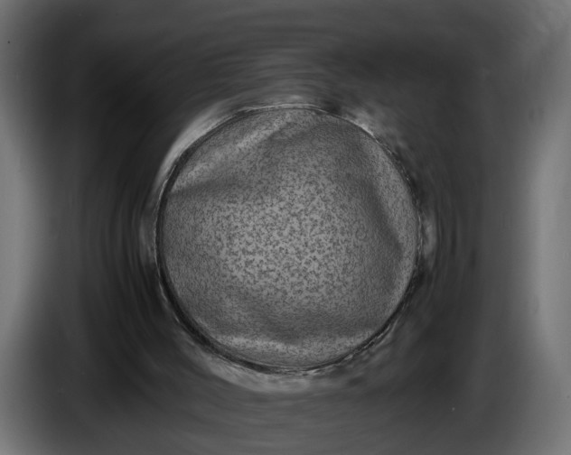 X0000087420004200705041317