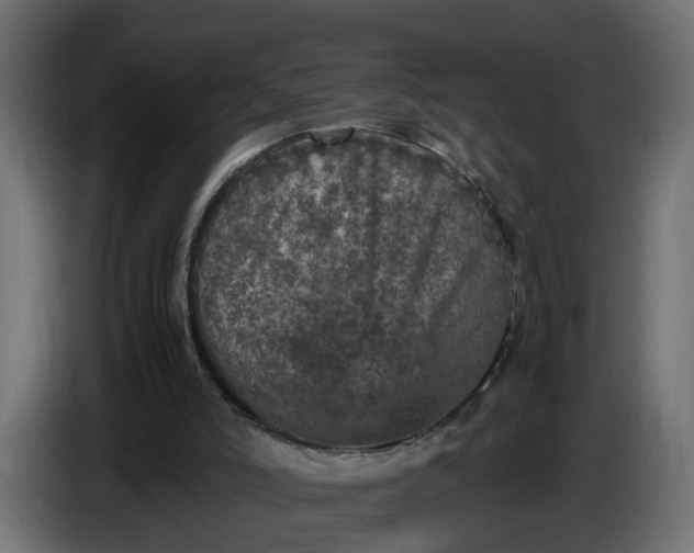 X0000087420006200705041317