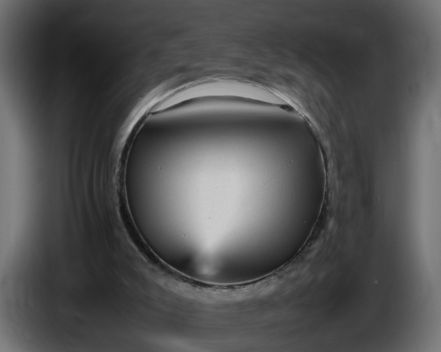 X0000087420007200705041317