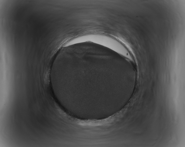 X0000087420009200705041317
