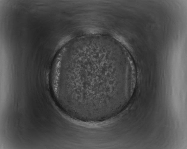 X0000087420010200705041317