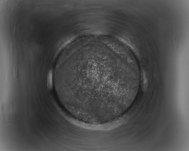 X0000087420014200705041317
