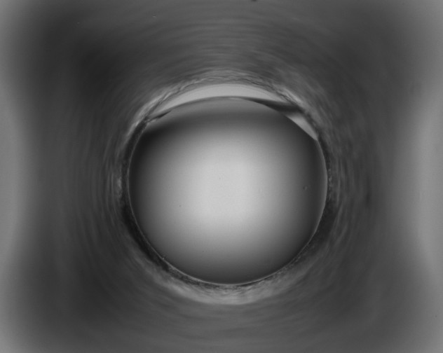 X0000087420015200705041317