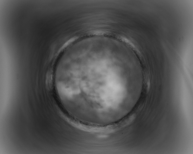 X0000087420016200705041317