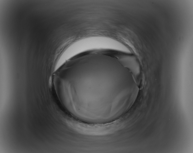 X0000087420019200705041317