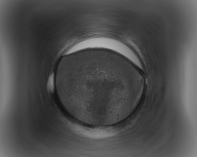 X0000087420020200705041317