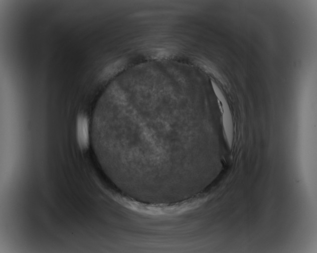 X0000087420022200705041317