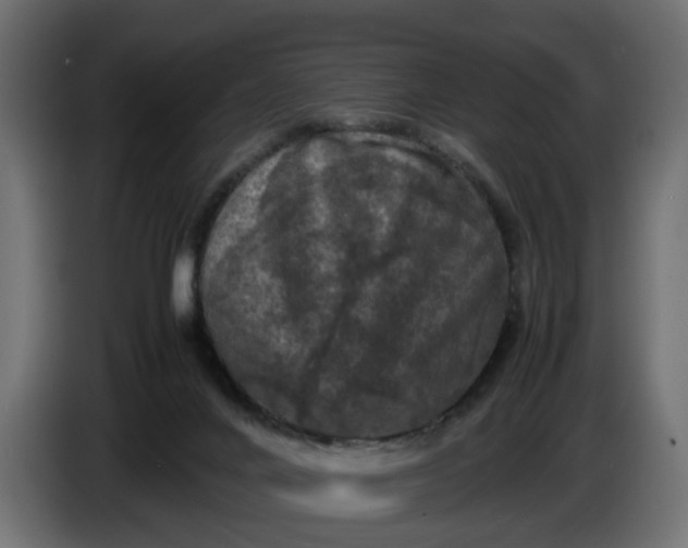 X0000087420024200705041317