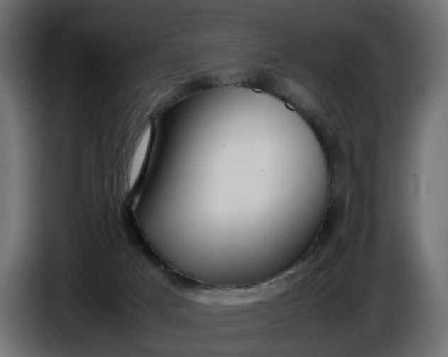 X0000087420025200705041317