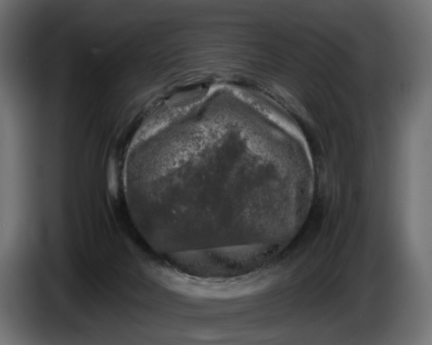 X0000087420026200705041317