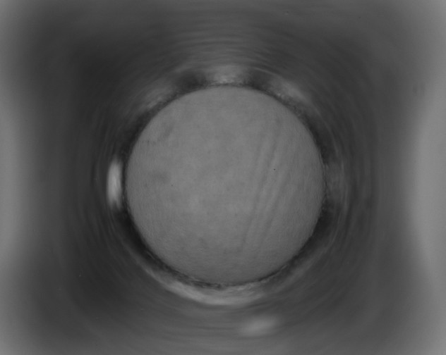 X0000087420028200705041316