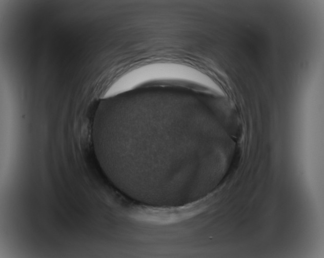 X0000087420029200705041316