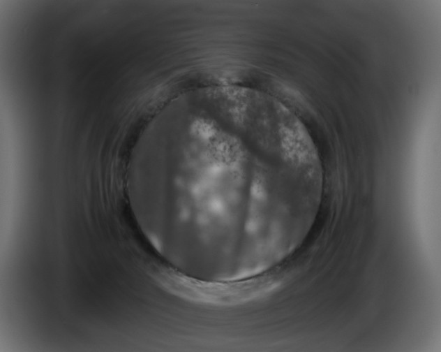 X0000087420030200705041316