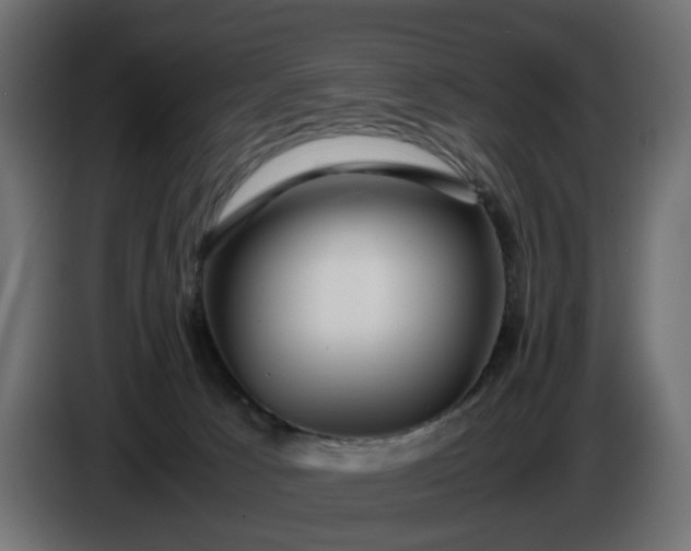X0000087420033200705041316